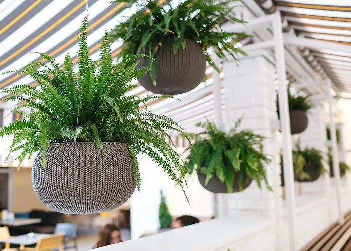 Discovery Готель