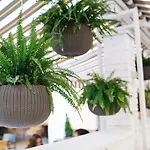 Discovery Hotel